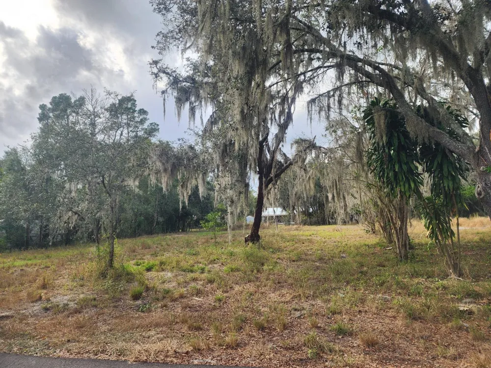 1409 WILKINSON DRIVE Plant City, FL 33566