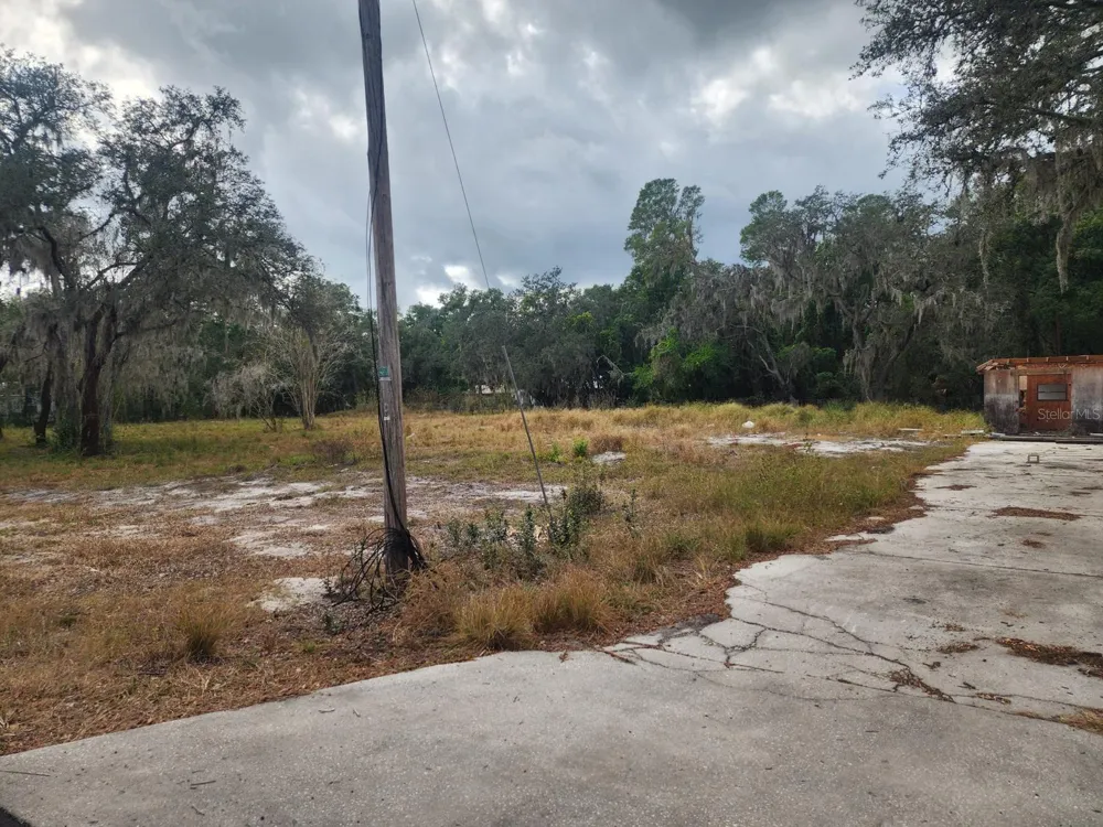 1409 WILKINSON DRIVE Plant City, FL 33566