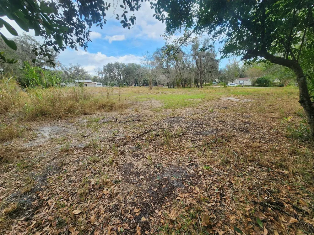 1409 WILKINSON DRIVE Plant City, FL 33566