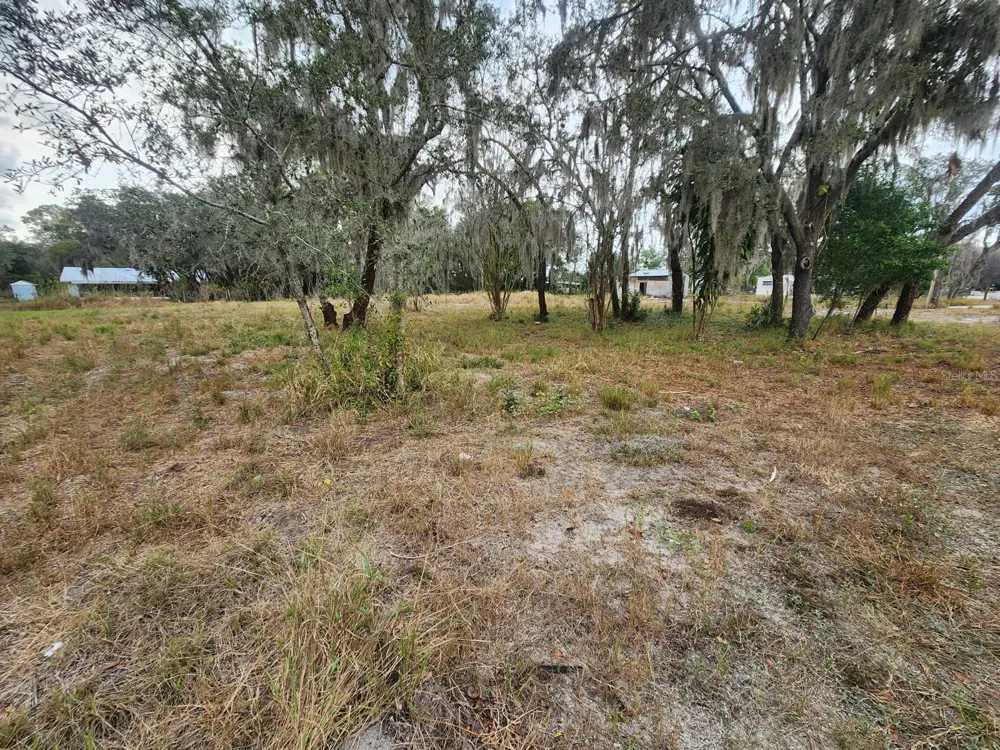 1409 WILKINSON DRIVE Plant City, FL 33566