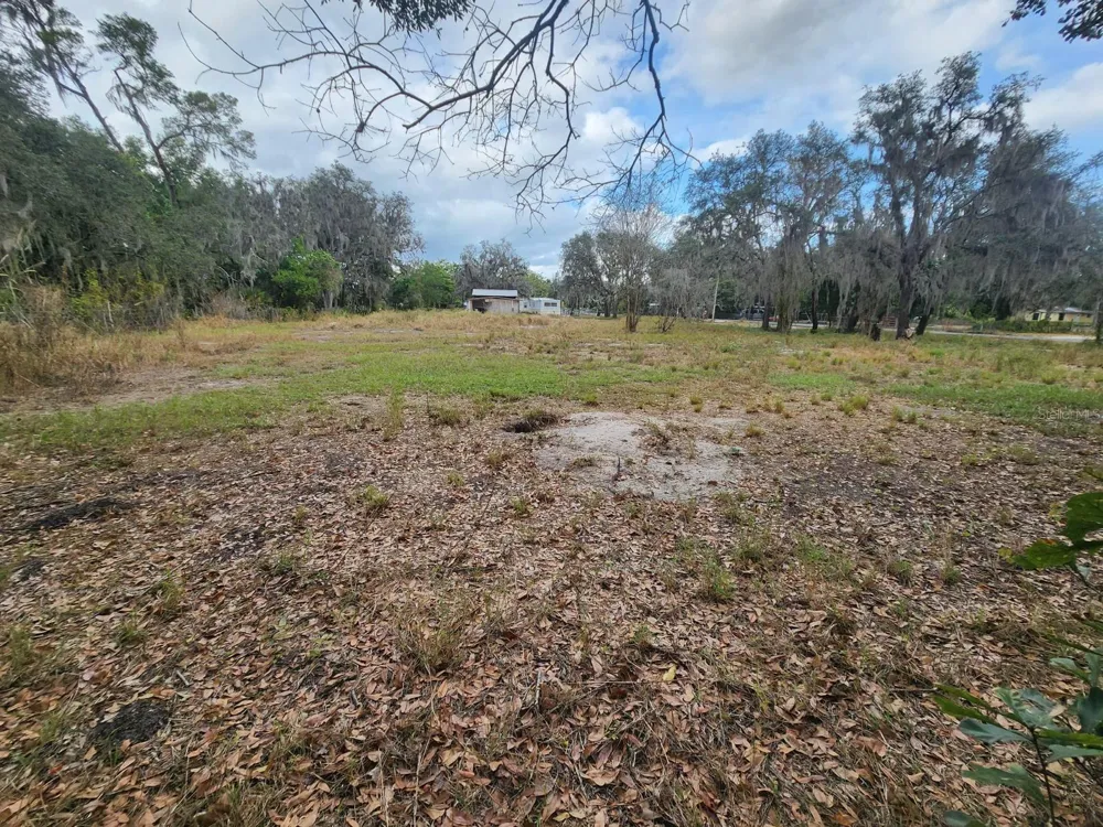 1409 WILKINSON DRIVE Plant City, FL 33566