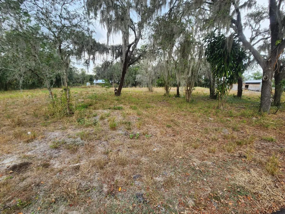 1409 WILKINSON DRIVE Plant City, FL 33566