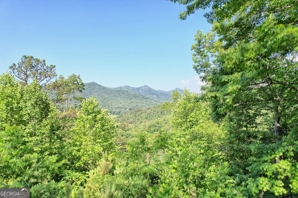 0 Raven Fork TRL Dillard, GA 30537