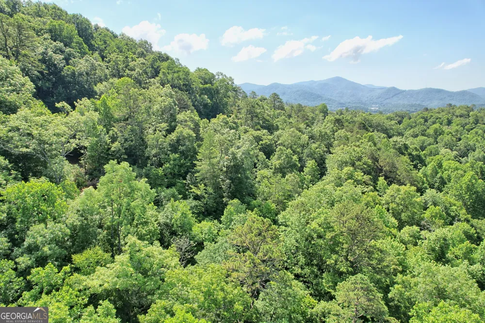0 Raven Fork TRL Dillard, GA 30537