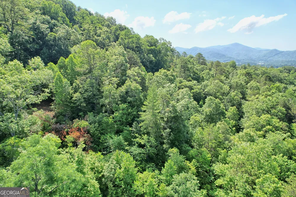 0 Raven Fork TRL Dillard, GA 30537