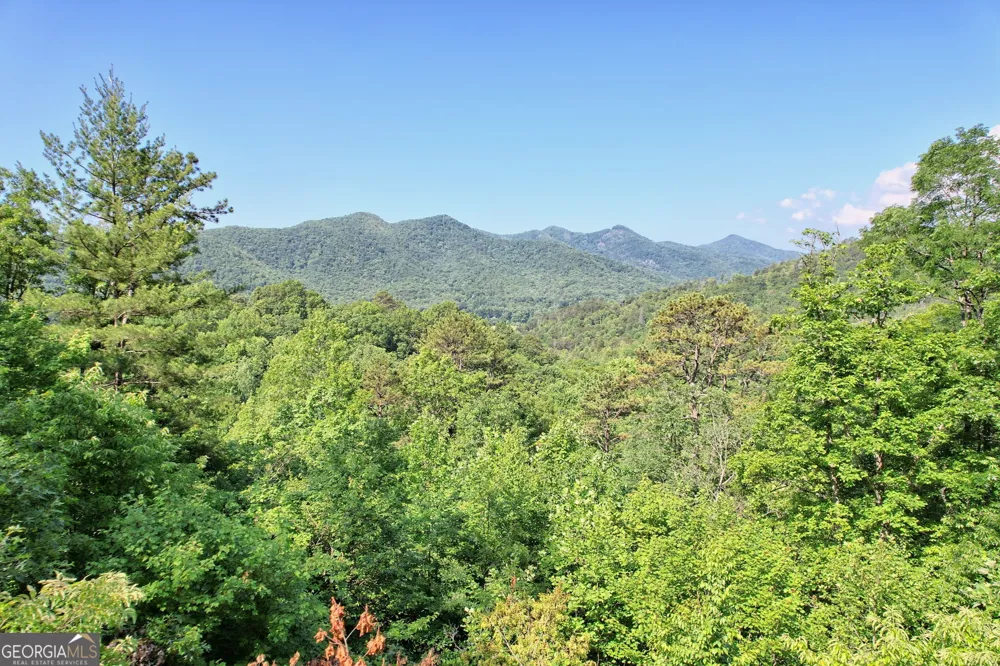 0 Raven Fork TRL Dillard, GA 30537