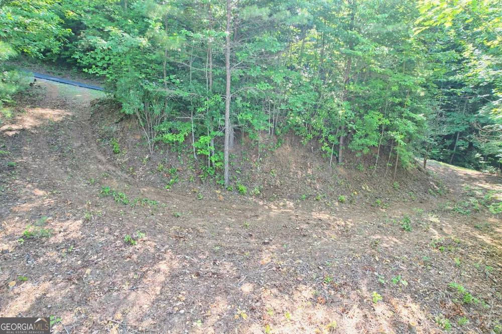 0 Raven Fork TRL Dillard, GA 30537
