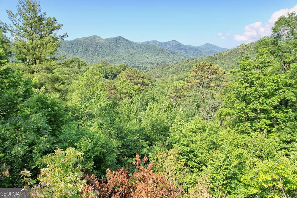 0 Raven Fork TRL Dillard, GA 30537
