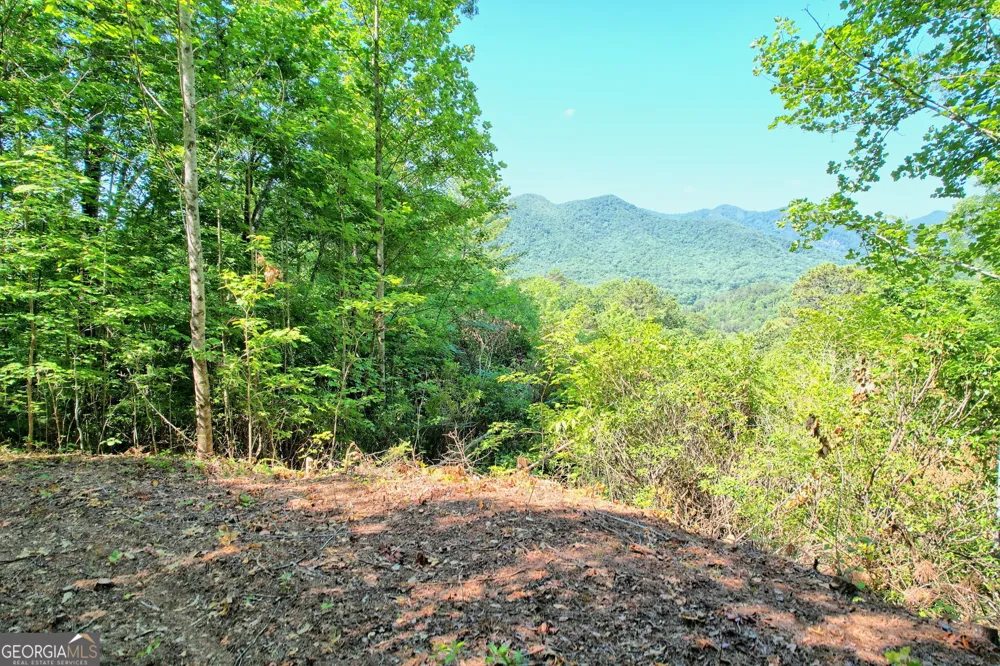 0 Raven Fork TRL Dillard, GA 30537