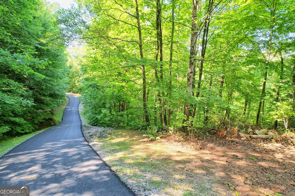 0 Raven Fork TRL Dillard, GA 30537