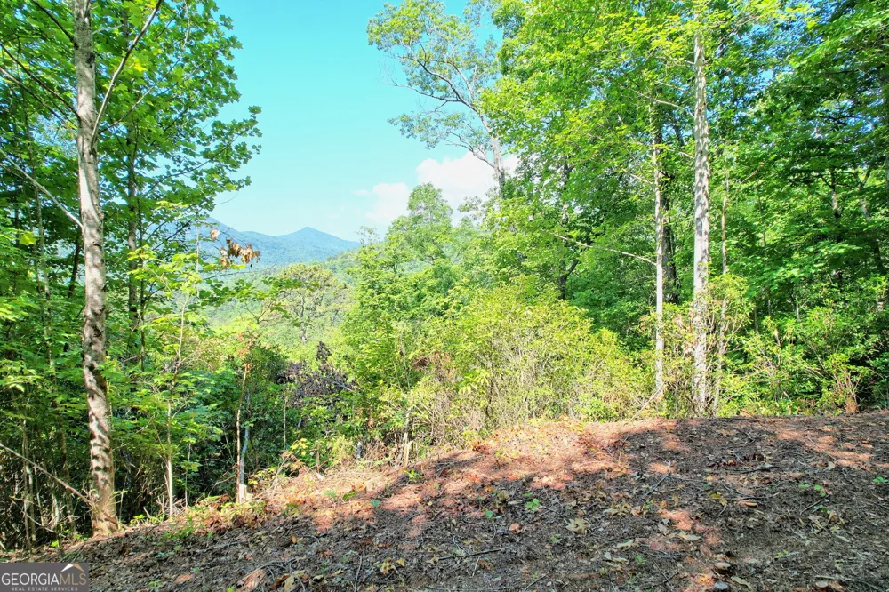 0 Raven Fork TRL Dillard, GA 30537