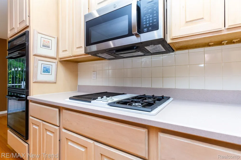 43159 Sandstone Novi City, MI 48377