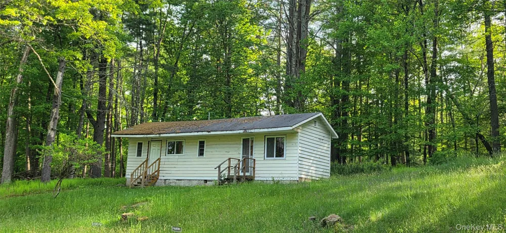 52 Luxton Lake Road Narrowsburg, NY 12764