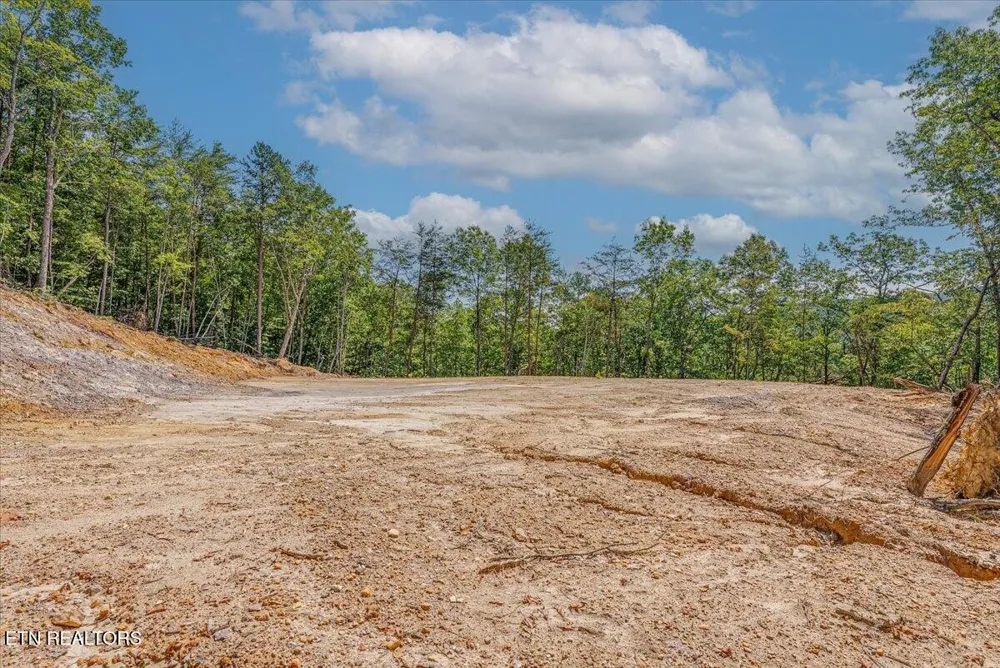1200 Steer Creek Rd Tellico Plains, TN 37385