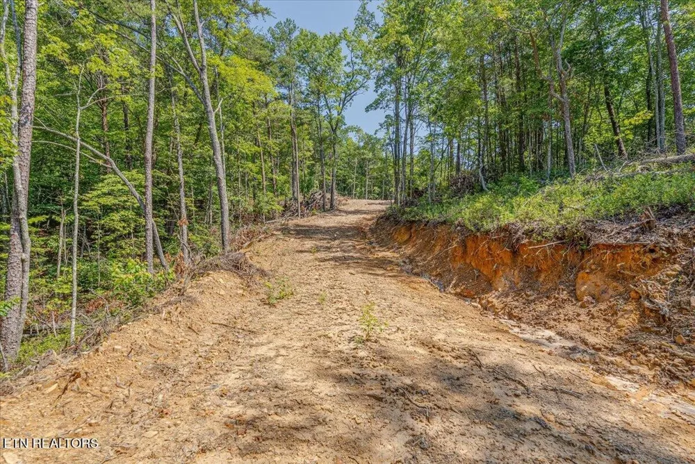 1200 Steer Creek Rd Tellico Plains, TN 37385