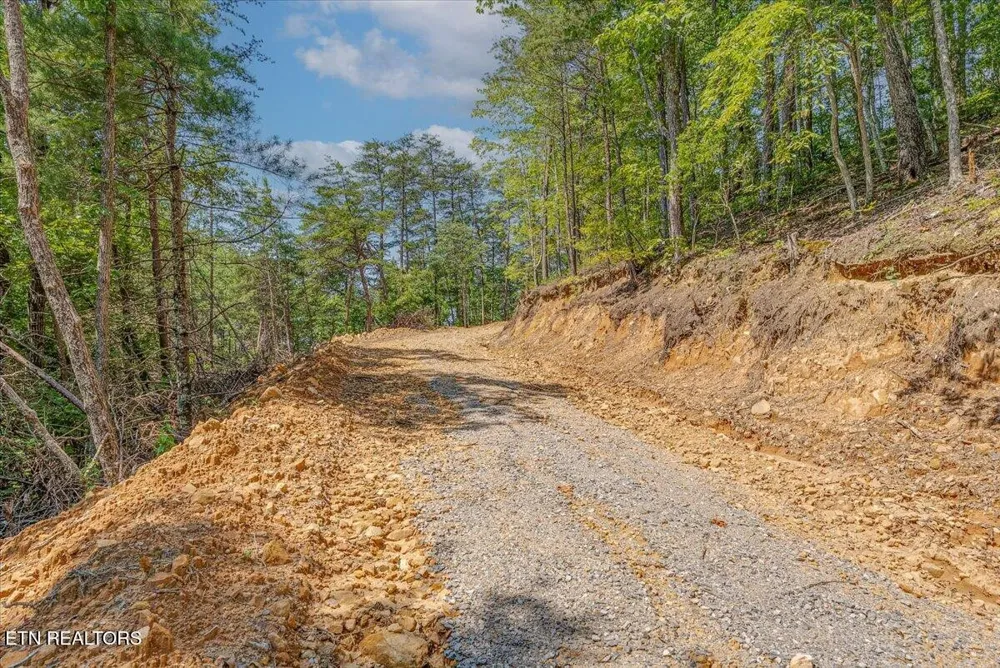 1200 Steer Creek Rd Tellico Plains, TN 37385