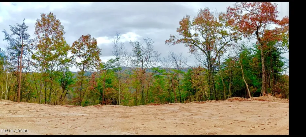 1200 Steer Creek Rd Tellico Plains, TN 37385
