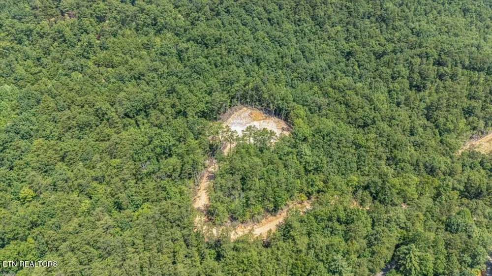 1200 Steer Creek Rd Tellico Plains, TN 37385