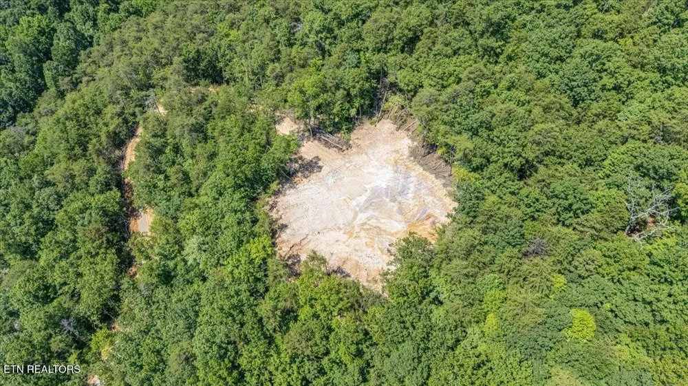 1200 Steer Creek Rd Tellico Plains, TN 37385