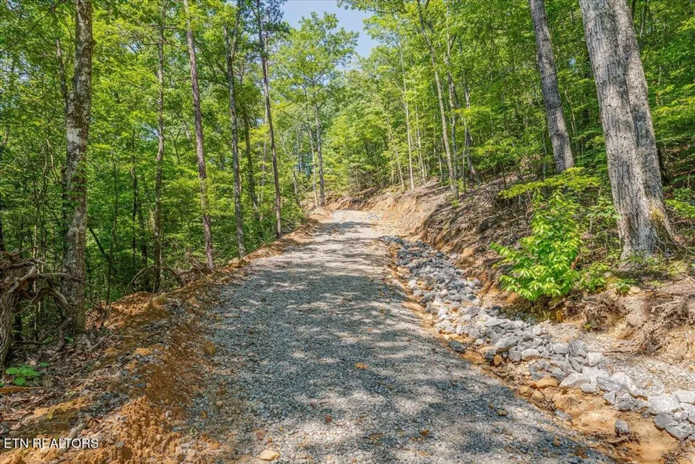 1200 Steer Creek Rd Tellico Plains, TN 37385