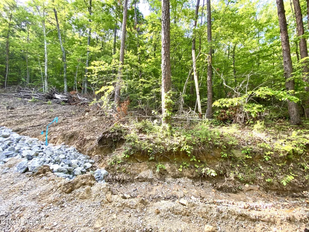 1200 Steer Creek Rd Tellico Plains, TN 37385