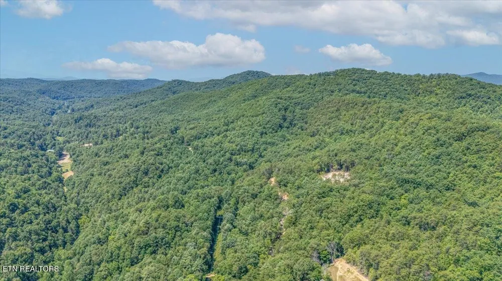 1200 Steer Creek Rd Tellico Plains, TN 37385