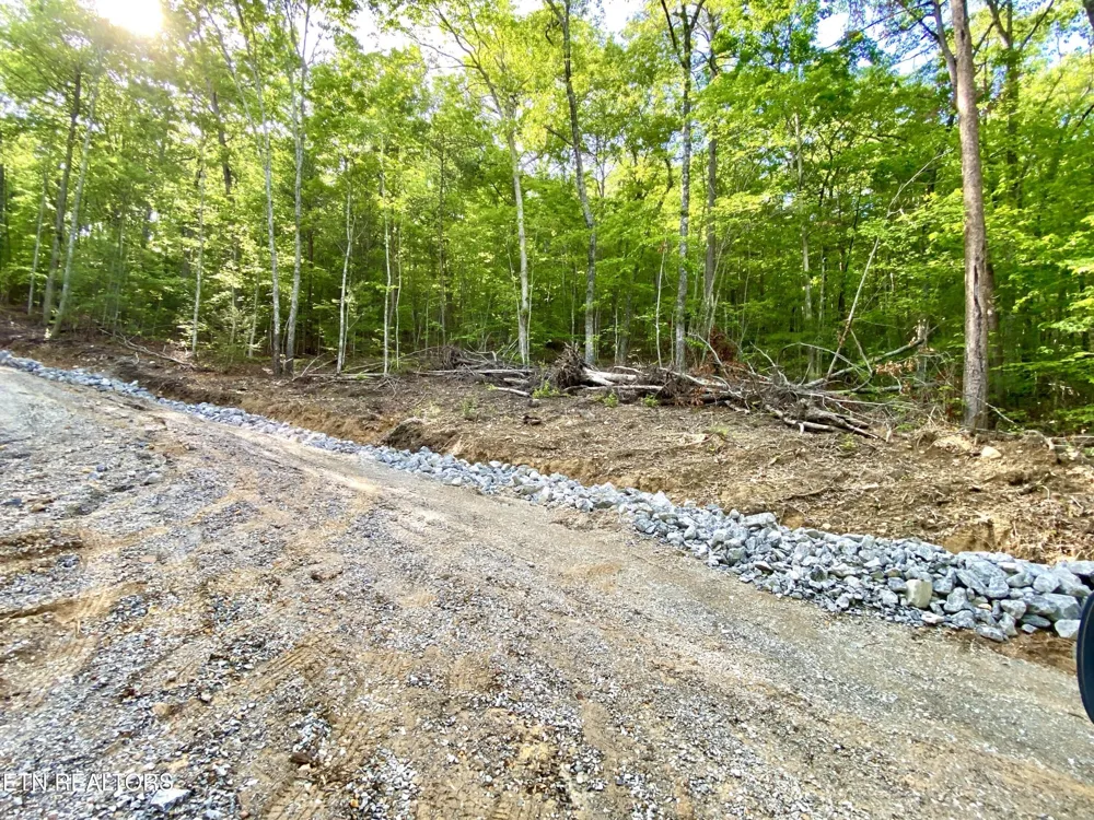 1200 Steer Creek Rd Tellico Plains, TN 37385