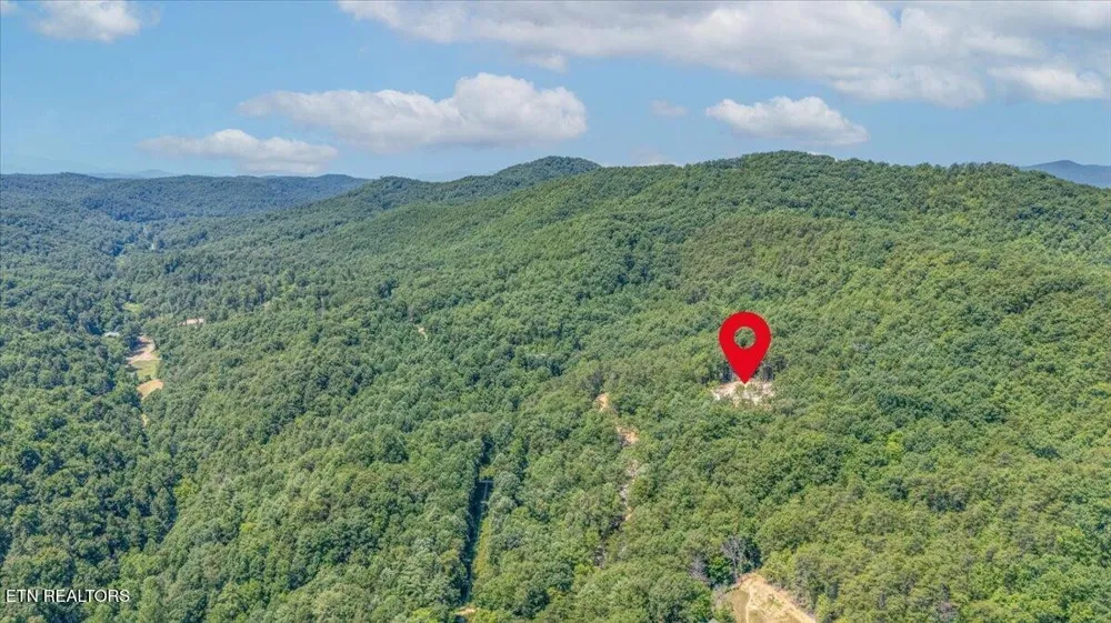 1200 Steer Creek Rd Tellico Plains, TN 37385
