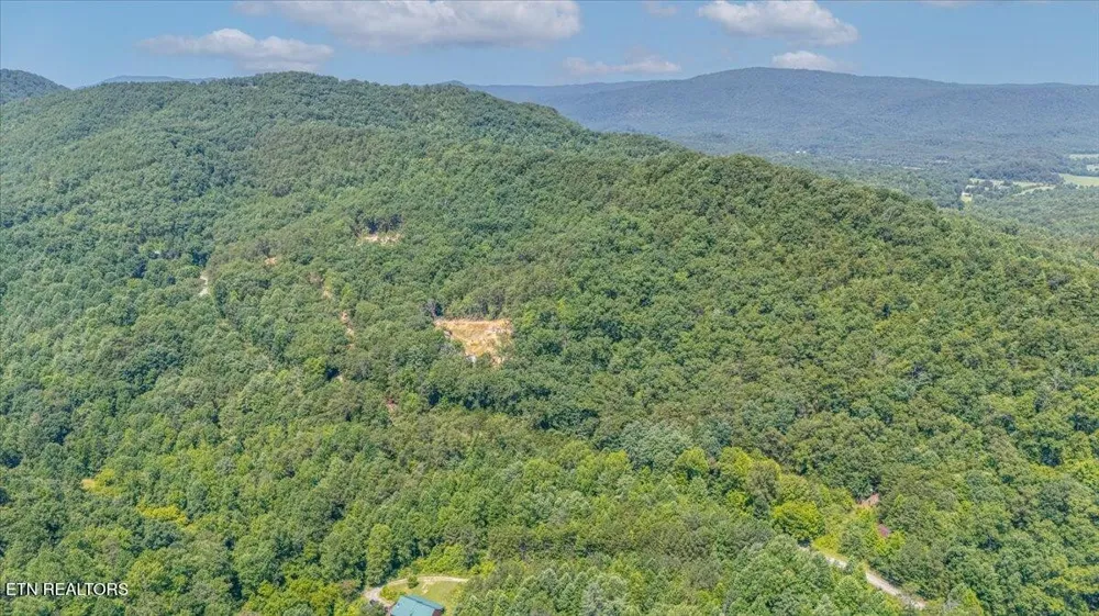 1200 Steer Creek Rd Tellico Plains, TN 37385