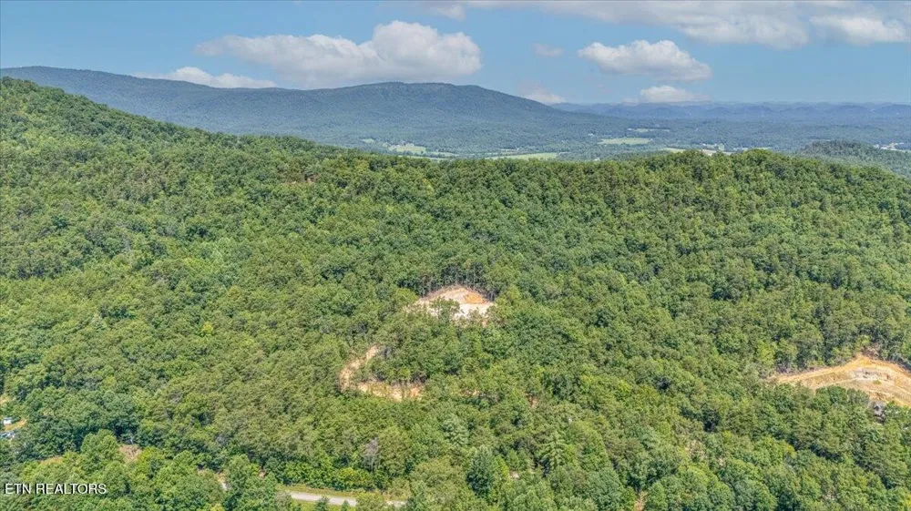 1200 Steer Creek Rd Tellico Plains, TN 37385