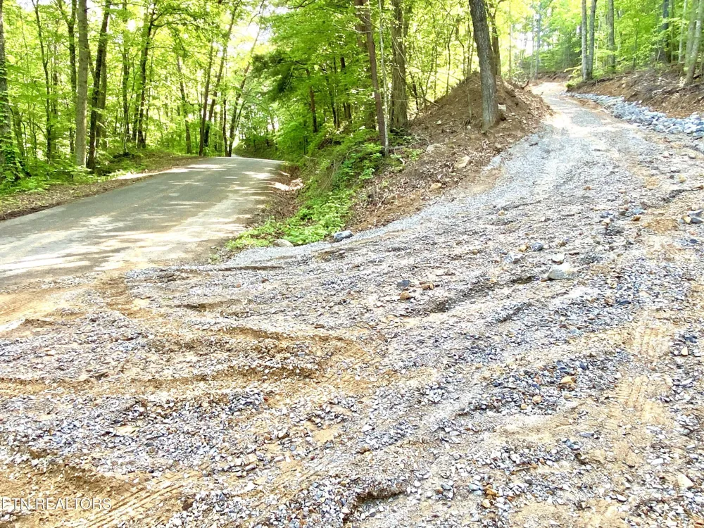 1200 Steer Creek Rd Tellico Plains, TN 37385