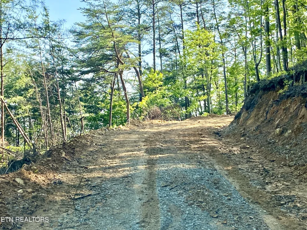 1200 Steer Creek Rd Tellico Plains, TN 37385