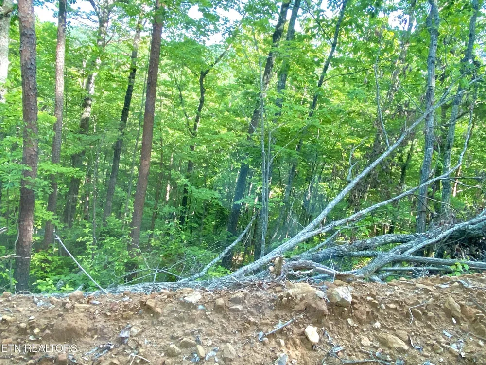1200 Steer Creek Rd Tellico Plains, TN 37385