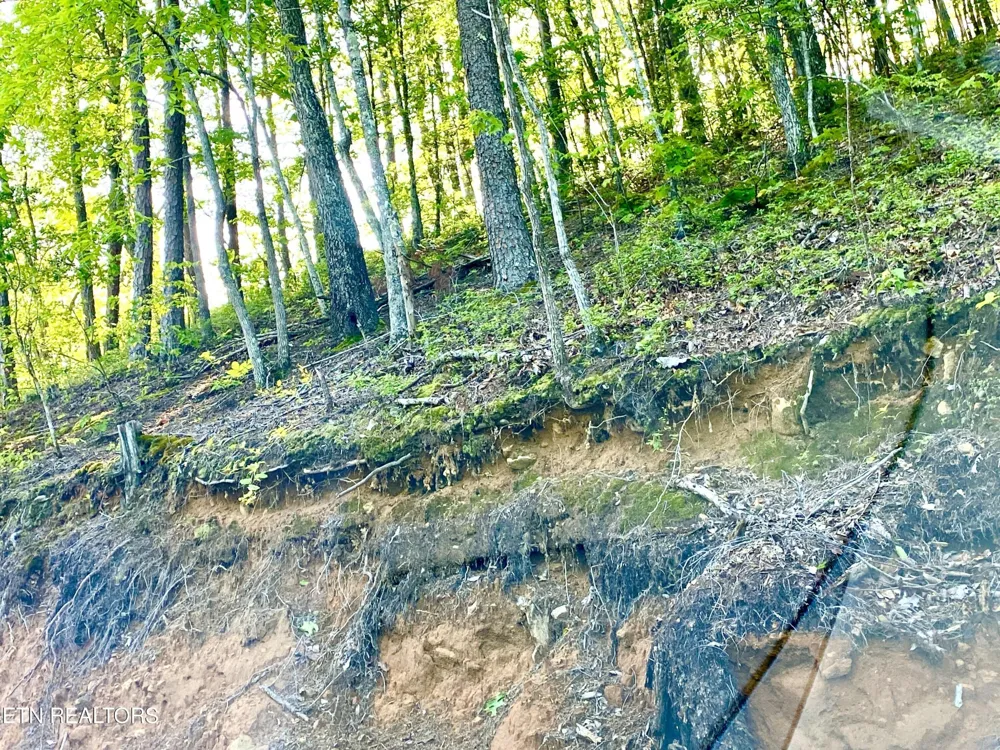 1200 Steer Creek Rd Tellico Plains, TN 37385