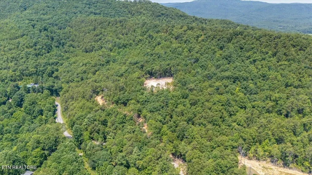 1200 Steer Creek Rd Tellico Plains, TN 37385