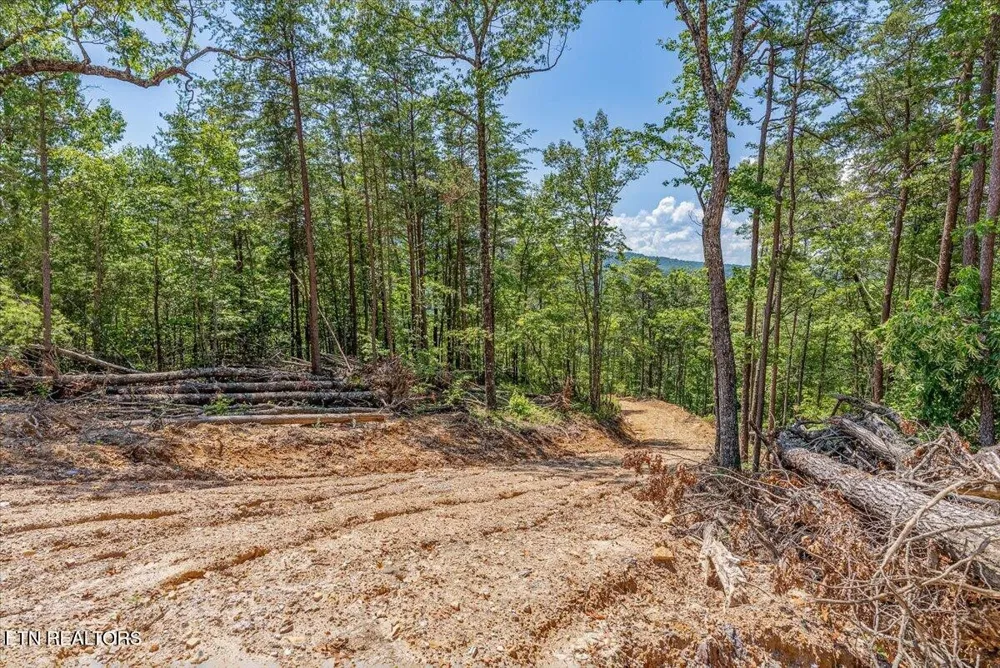 1200 Steer Creek Rd Tellico Plains, TN 37385
