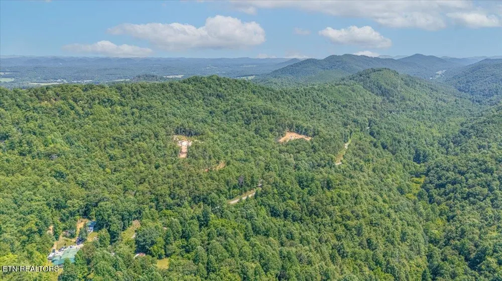 1200 Steer Creek Rd Tellico Plains, TN 37385