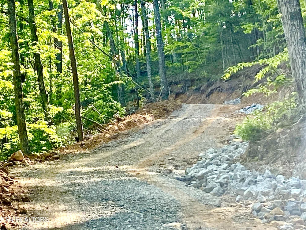 1200 Steer Creek Rd Tellico Plains, TN 37385