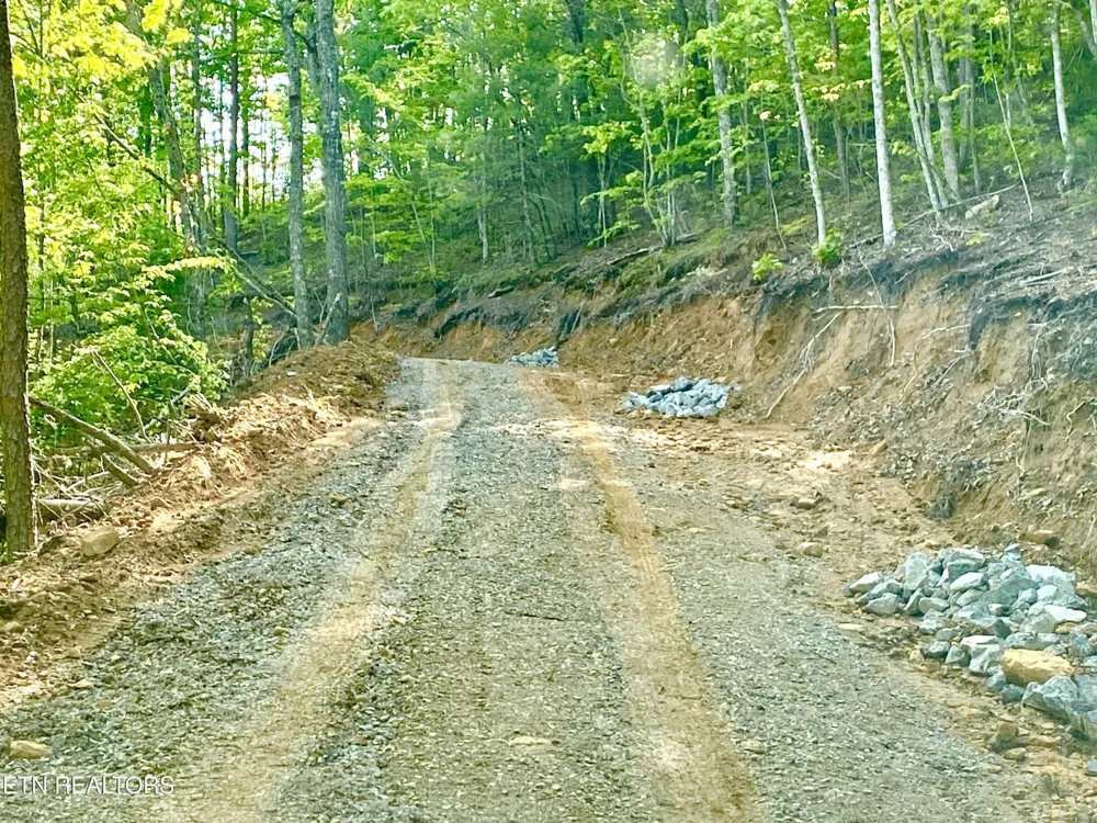 1200 Steer Creek Rd Tellico Plains, TN 37385