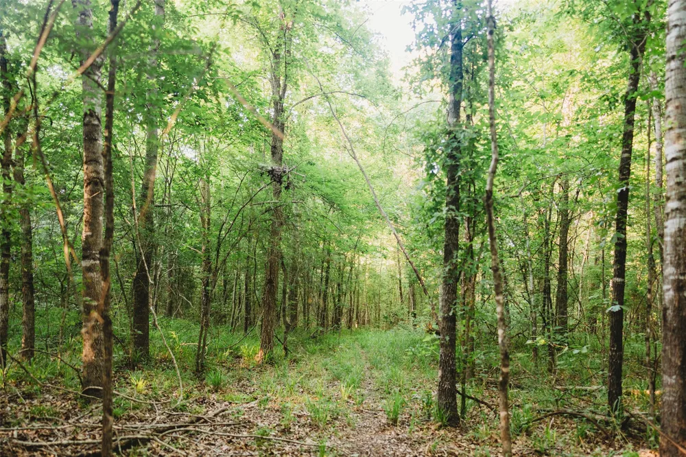 4861 CR 4610 Bogata, TX 75417