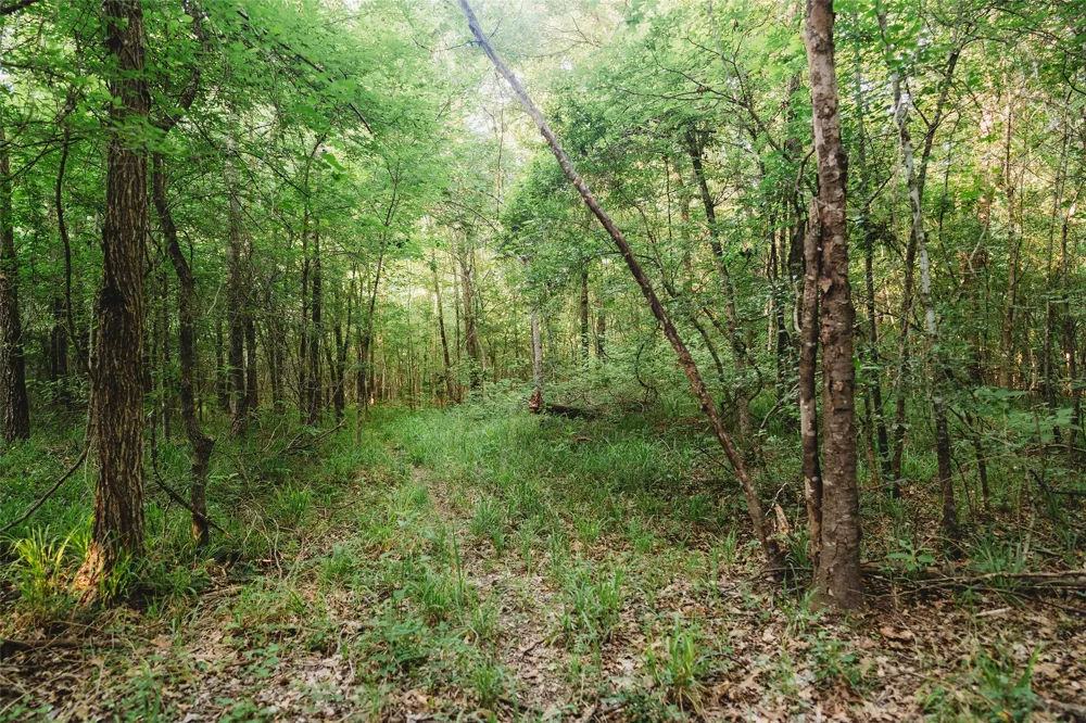 4861 CR 4610 Bogata, TX 75417