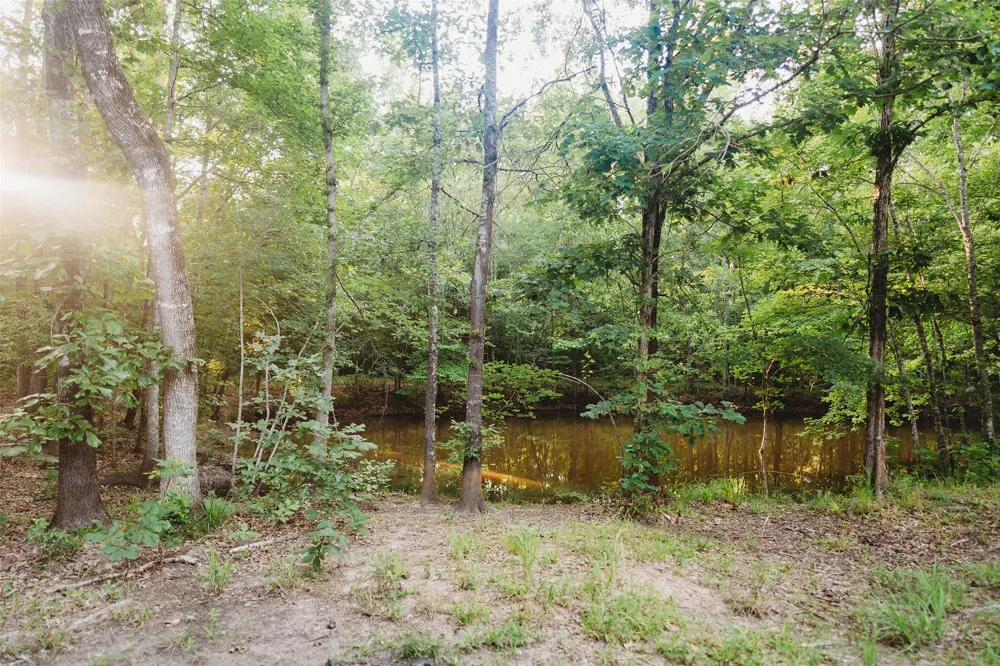 4861 CR 4610 Bogata, TX 75417