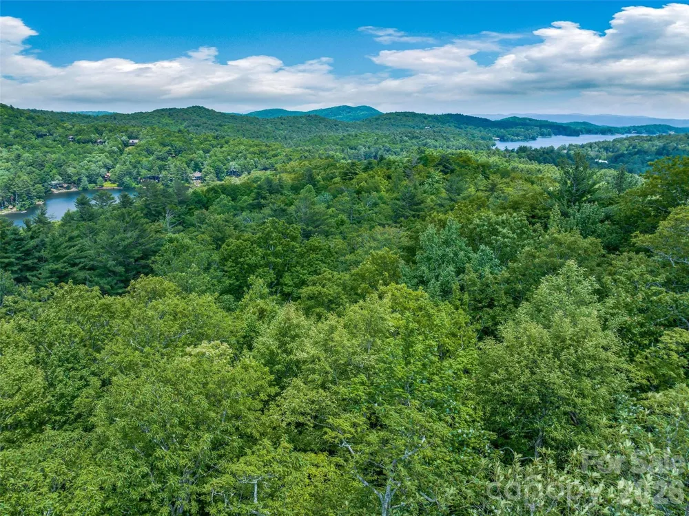 2 Cardinal Drive W #TRP 2 Lake Toxaway, NC 28747