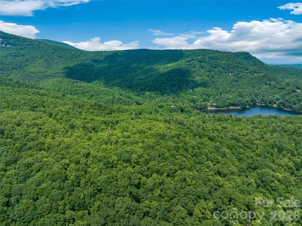 2 Cardinal Drive W #TRP 2 Lake Toxaway, NC 28747