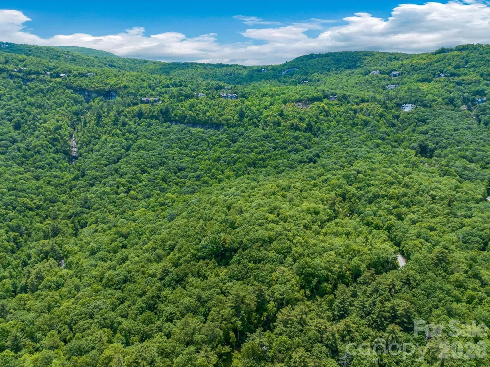 2 Cardinal Drive W #TRP 2 Lake Toxaway, NC 28747