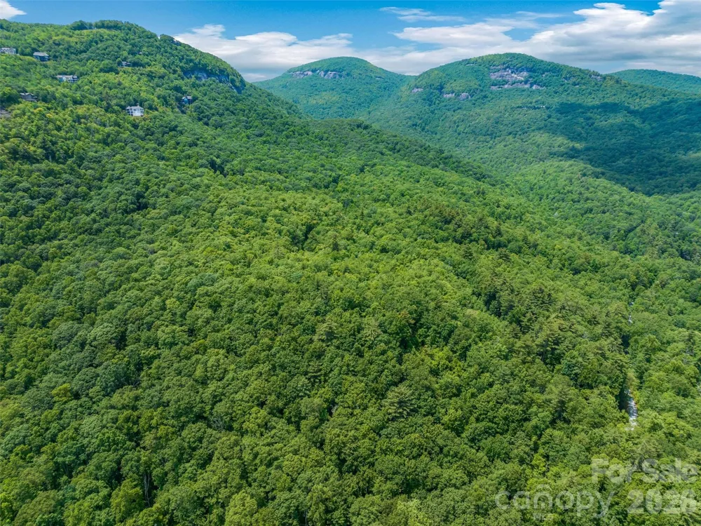 2 Cardinal Drive W #TRP 2 Lake Toxaway, NC 28747