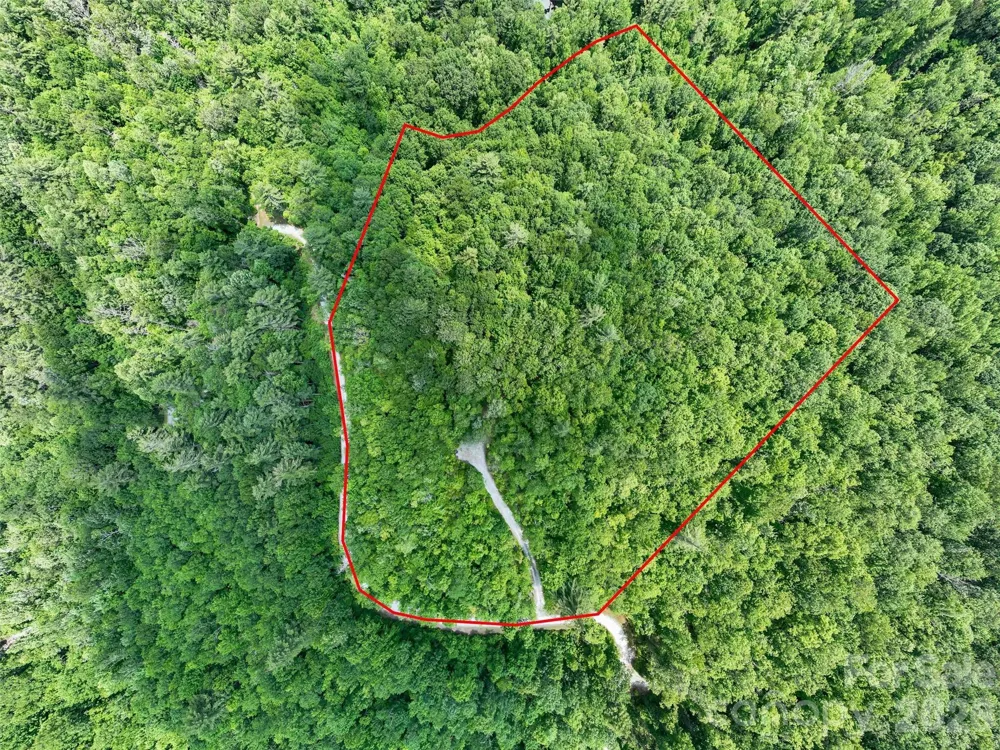 2 Cardinal Drive W #TRP 2 Lake Toxaway, NC 28747