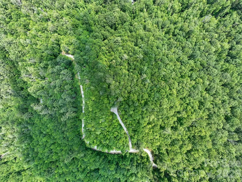 2 Cardinal Drive W #TRP 2 Lake Toxaway, NC 28747