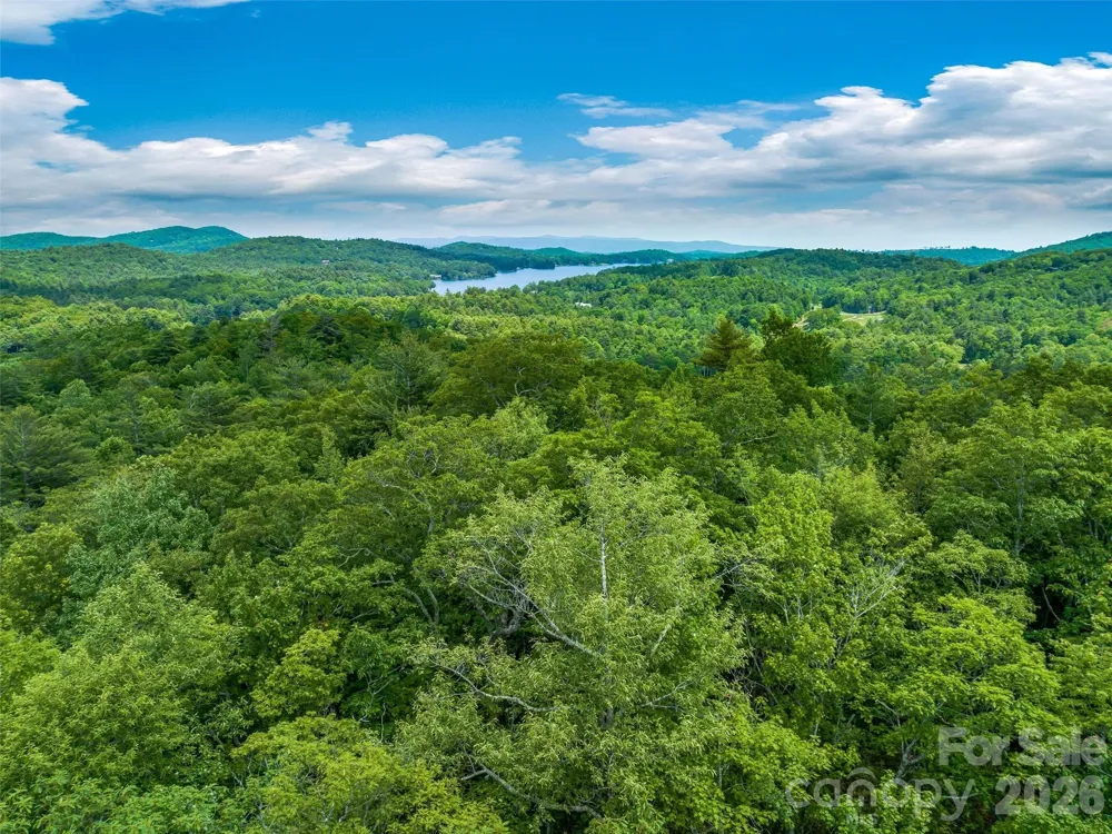2 Cardinal Drive W #TRP 2 Lake Toxaway, NC 28747