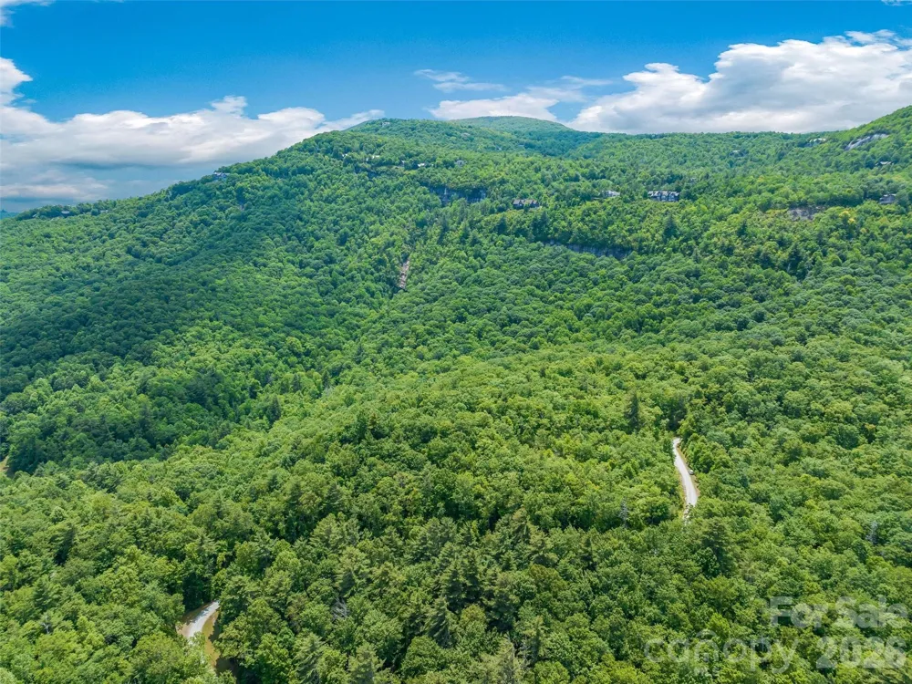 2 Cardinal Drive W #TRP 2 Lake Toxaway, NC 28747